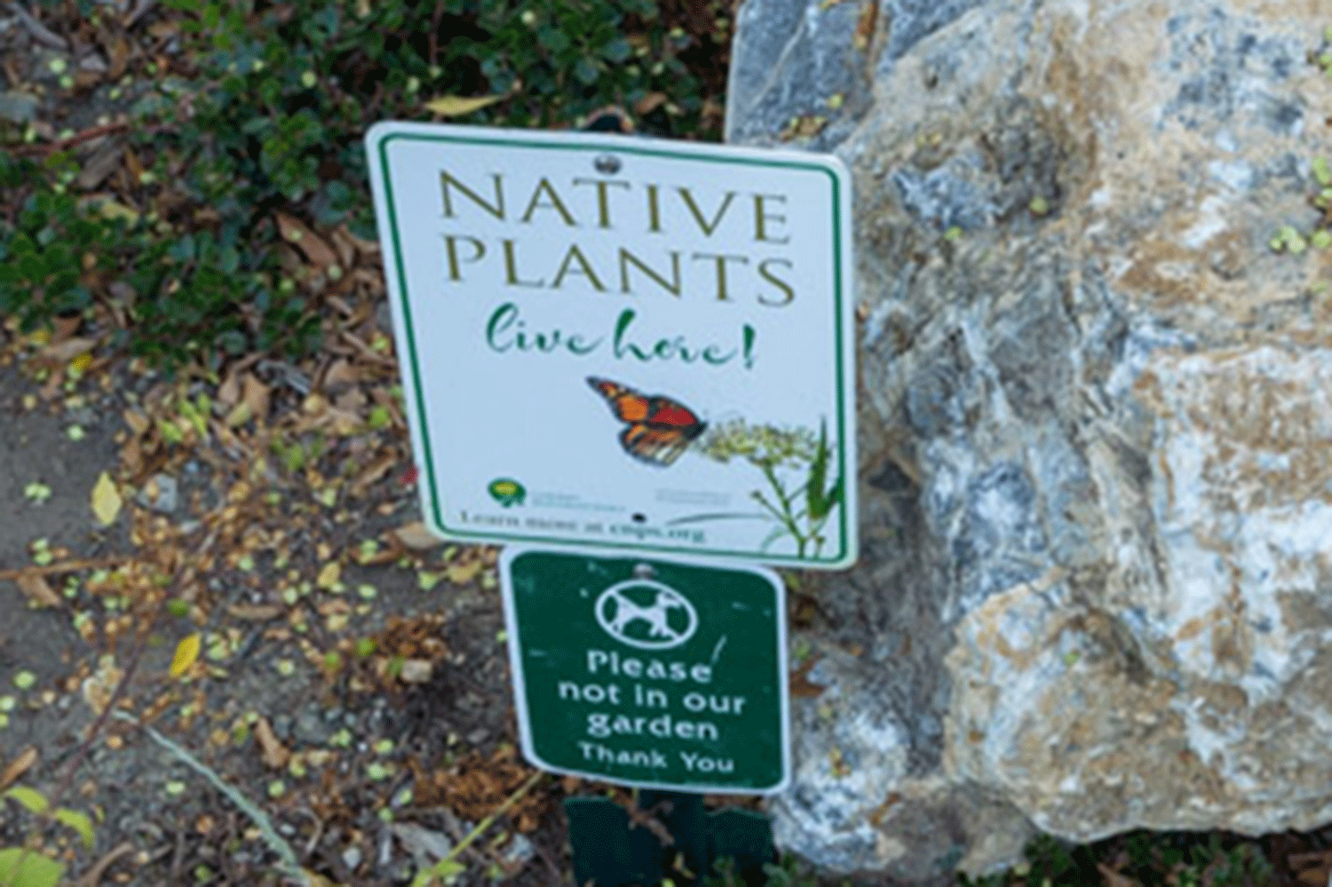 SL-IM-Scott-Native-Plant-Sign-closeup.gif