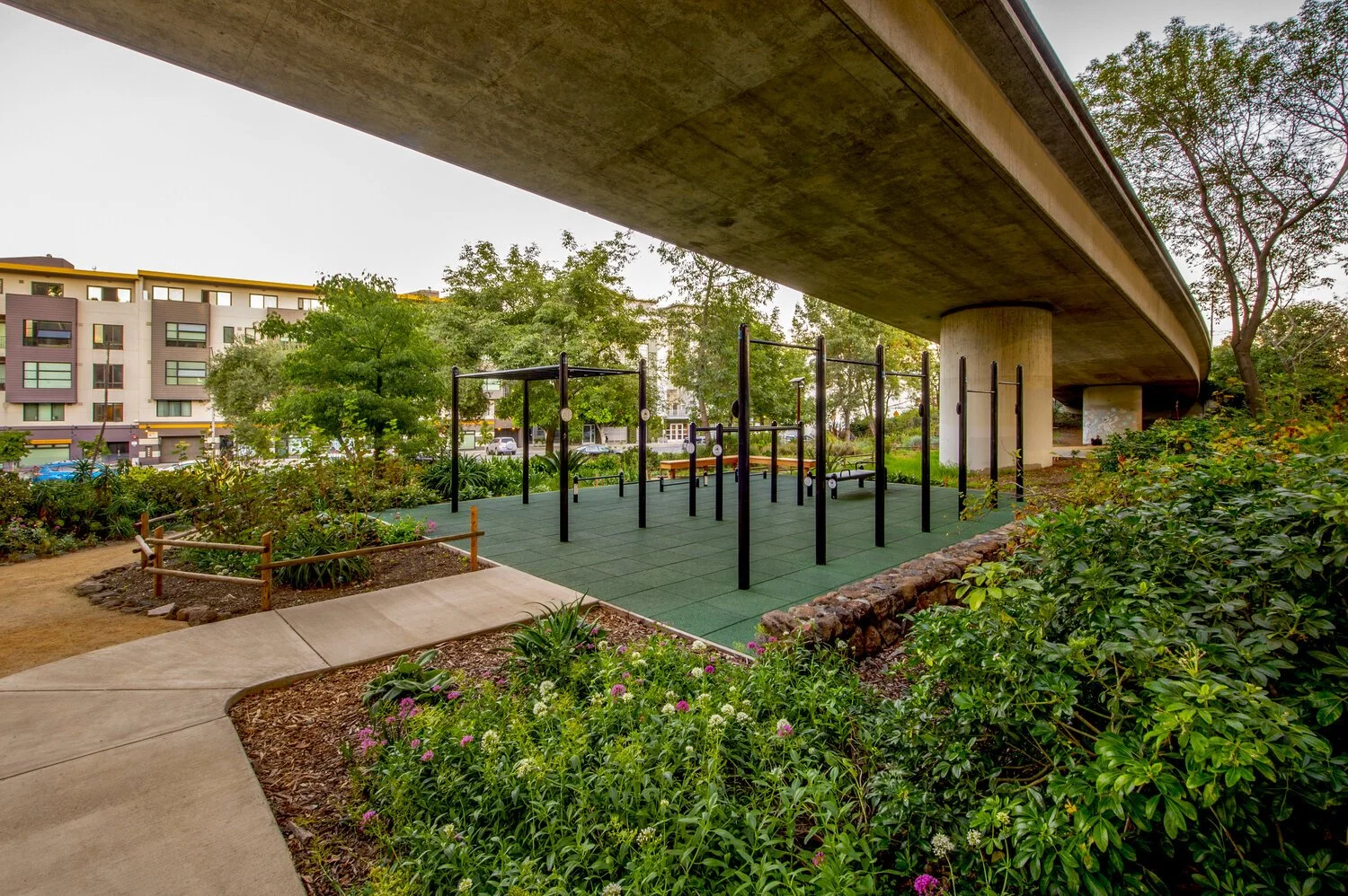 Progress Park Fitness