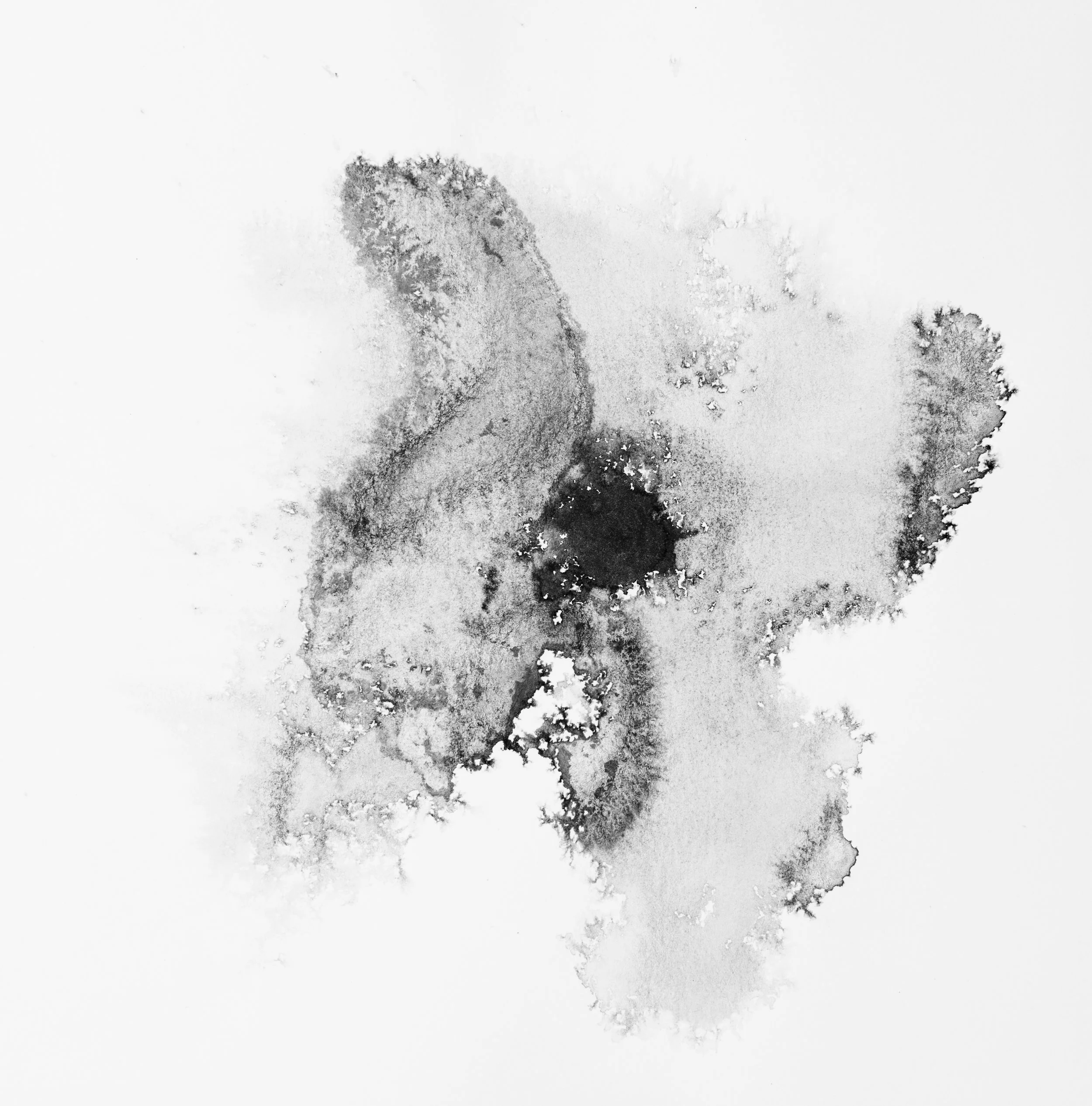 Image: Jennifer de Poyen, Untitled #2 , ink on paper, 2016. Private Collection
