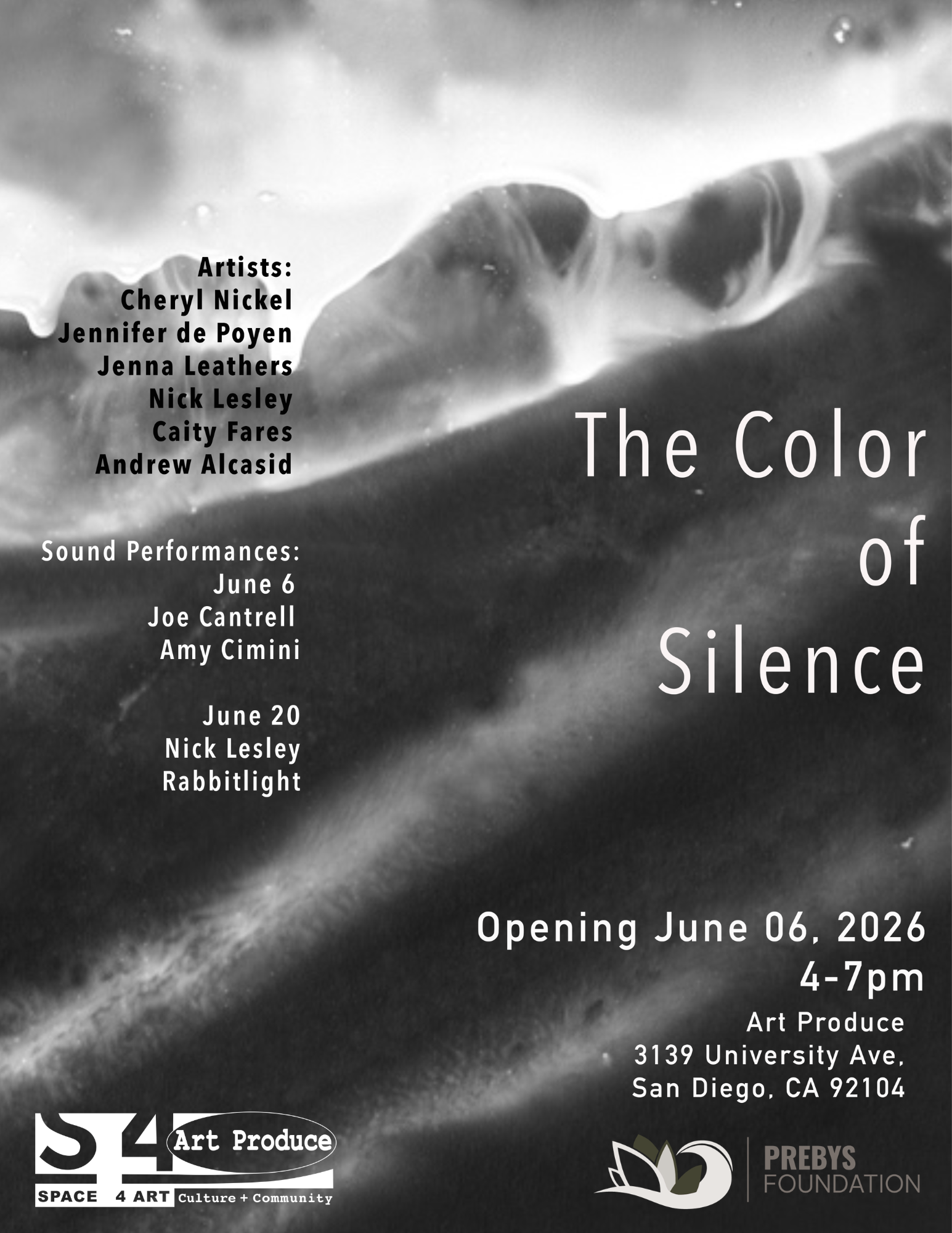 Art Exhibit - The Color of Silence
