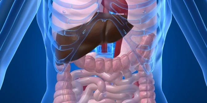 Veien til god helse går gjennom tarmen