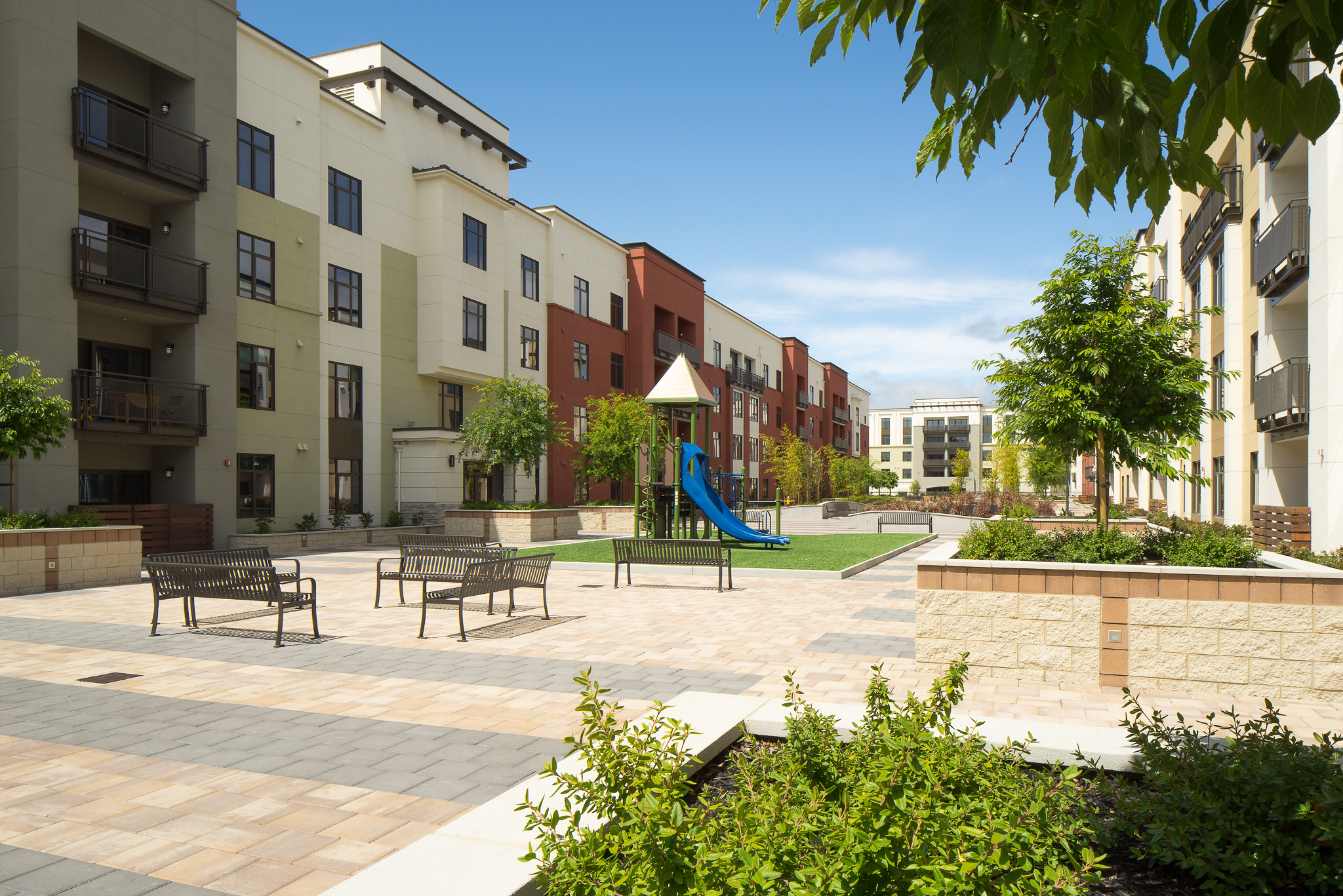 Courtyard - Under Tree.jpg