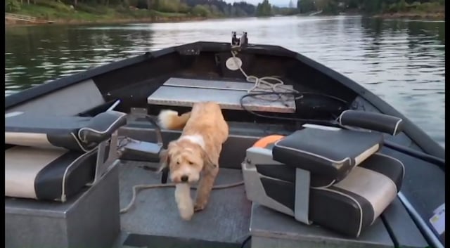 Fishing with Sydney