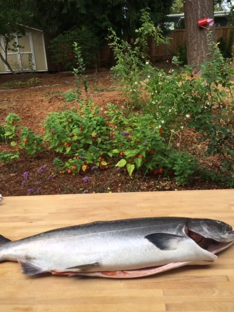First Fish of Fall