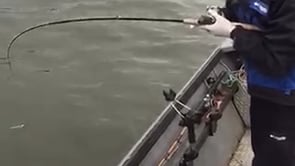 Phil Fighting a Fish