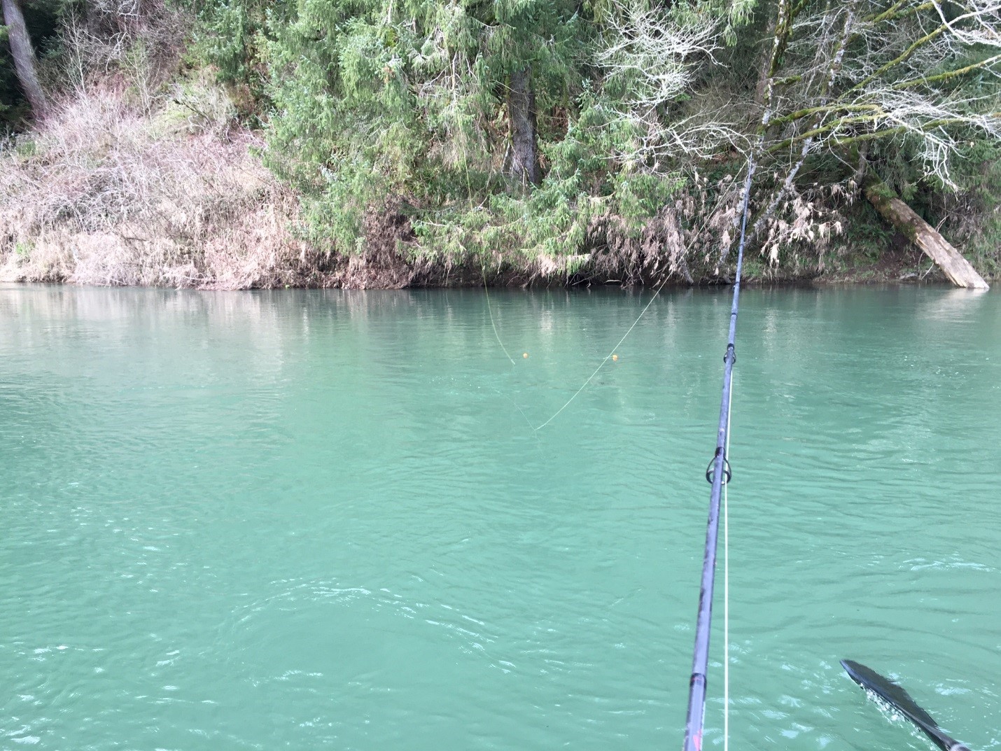 3.3.16_Fishing Nestucca River3.jpg