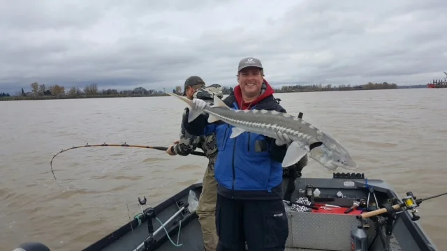 Phil's Late Fall Sturgeon Catch