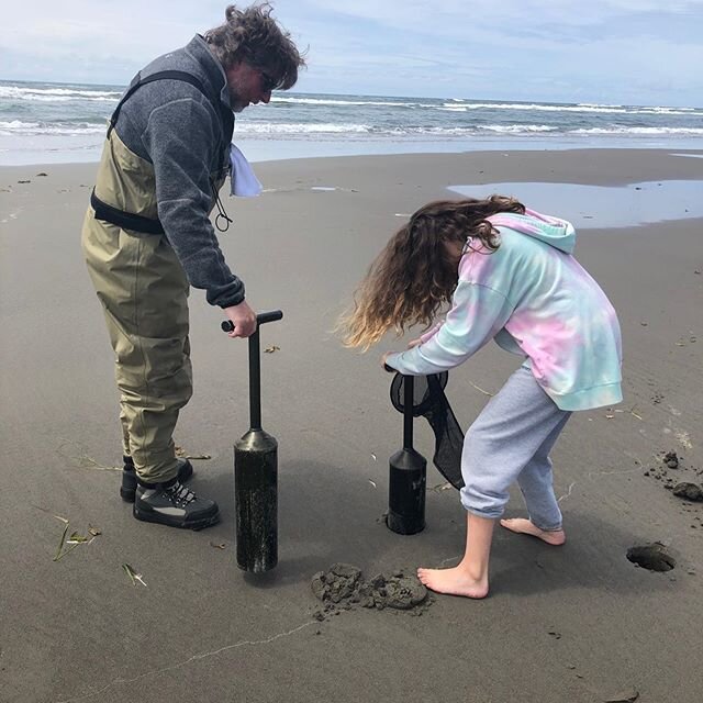 TB to last weekend when the whole fam got out for some clamming and beach shenanigans! ⁠⠀
.⁠⠀
.⁠⠀
First outing since March! Nice to get out of the house and have a change of scenery!⁠⠀
.⁠⠀
.⁠⠀
.⁠⠀
#sunsetbeach #razorclams #razorclamming #clamming #or