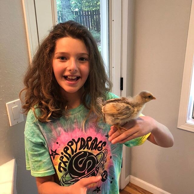 We welcomed Normy to the fam a couple weeks back! ⁠⠀
.⁠⠀
.⁠⠀
Normy and Macy are bonding well! #siblings #newaddition⁠⠀
.⁠⠀
.⁠⠀
.⁠⠀
#fishing #oregonfishing #alumaweld #pdxfishing #fishingformortgages #riverfishing⁠⠀
#pdxlender #pdxlending #pdxmortgage