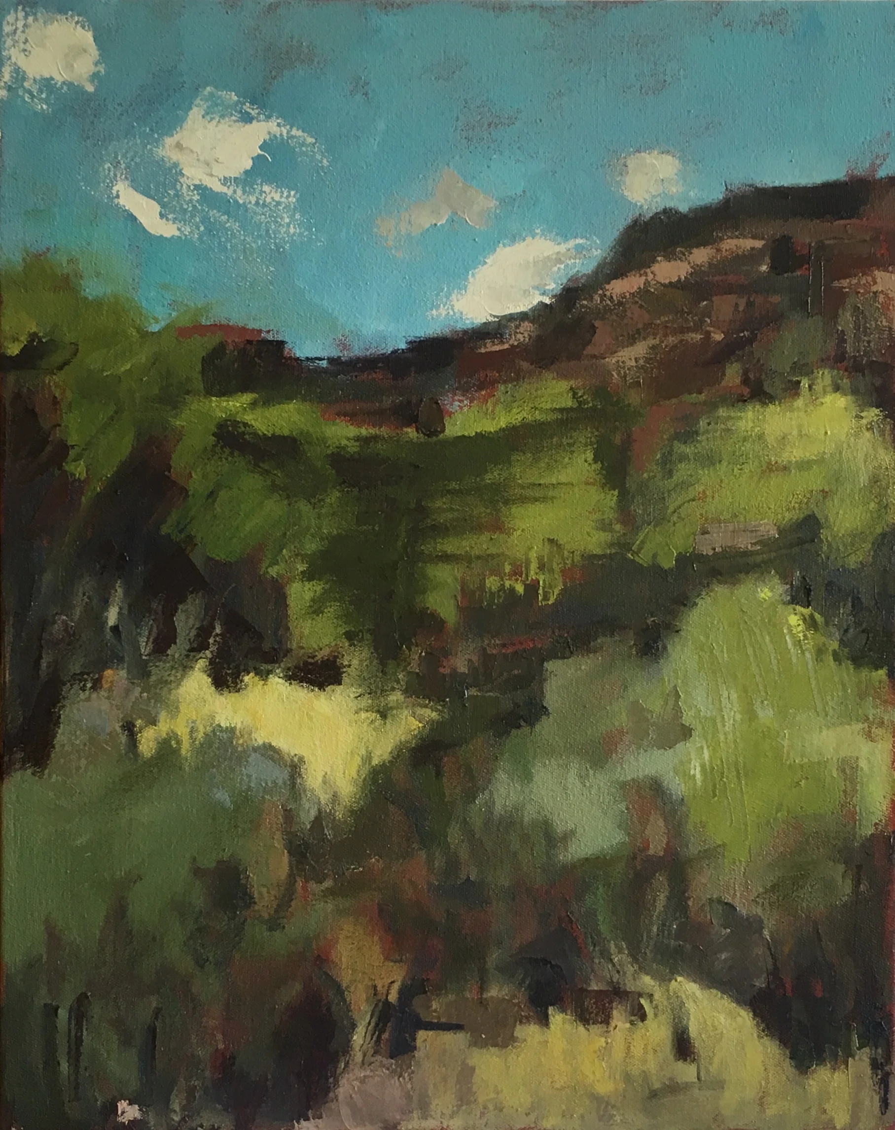  Somewhere in New Mexico 2016 16 x 20 oil on canvas 