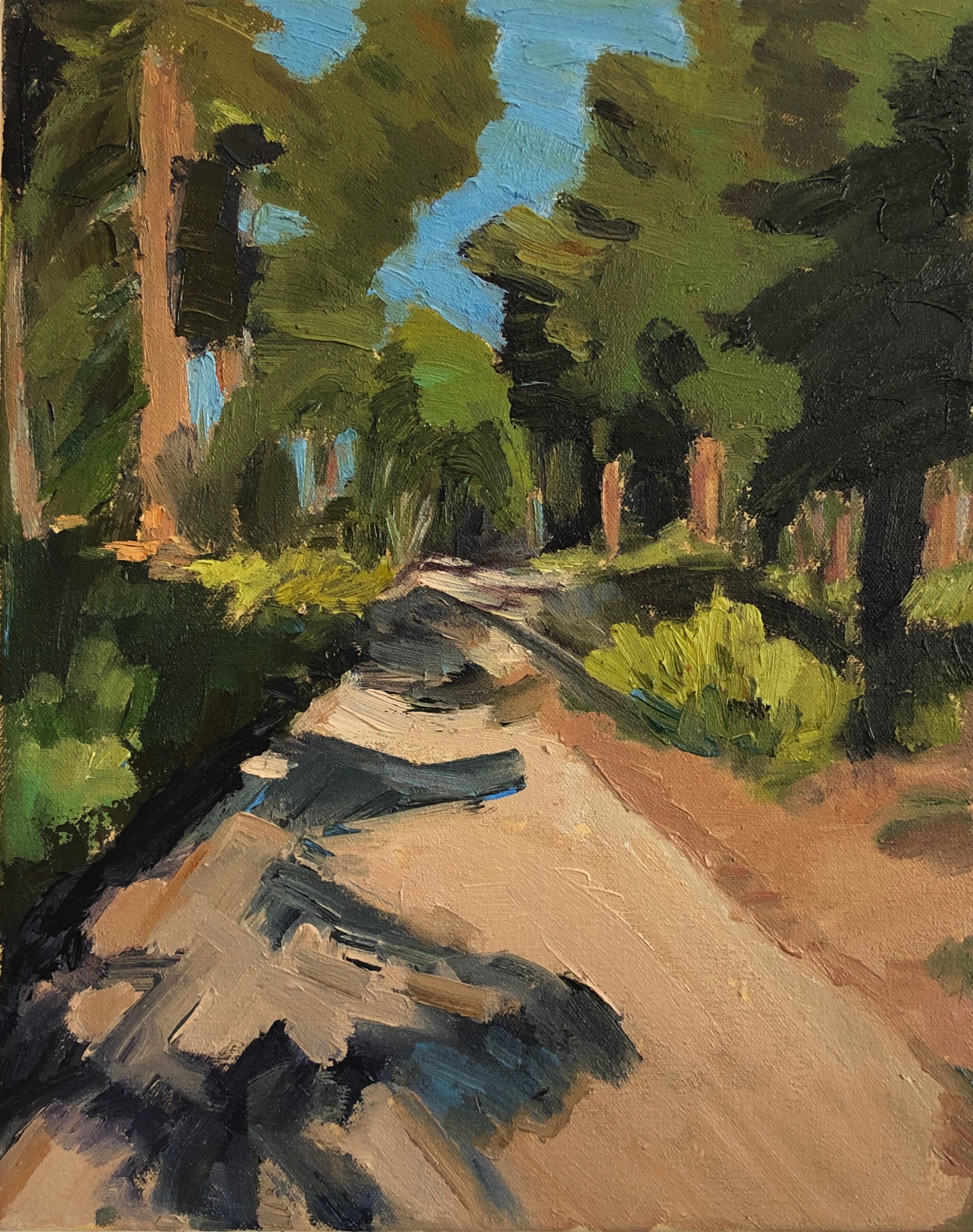  Tall Trees II 12 x 15 Big Bear  
