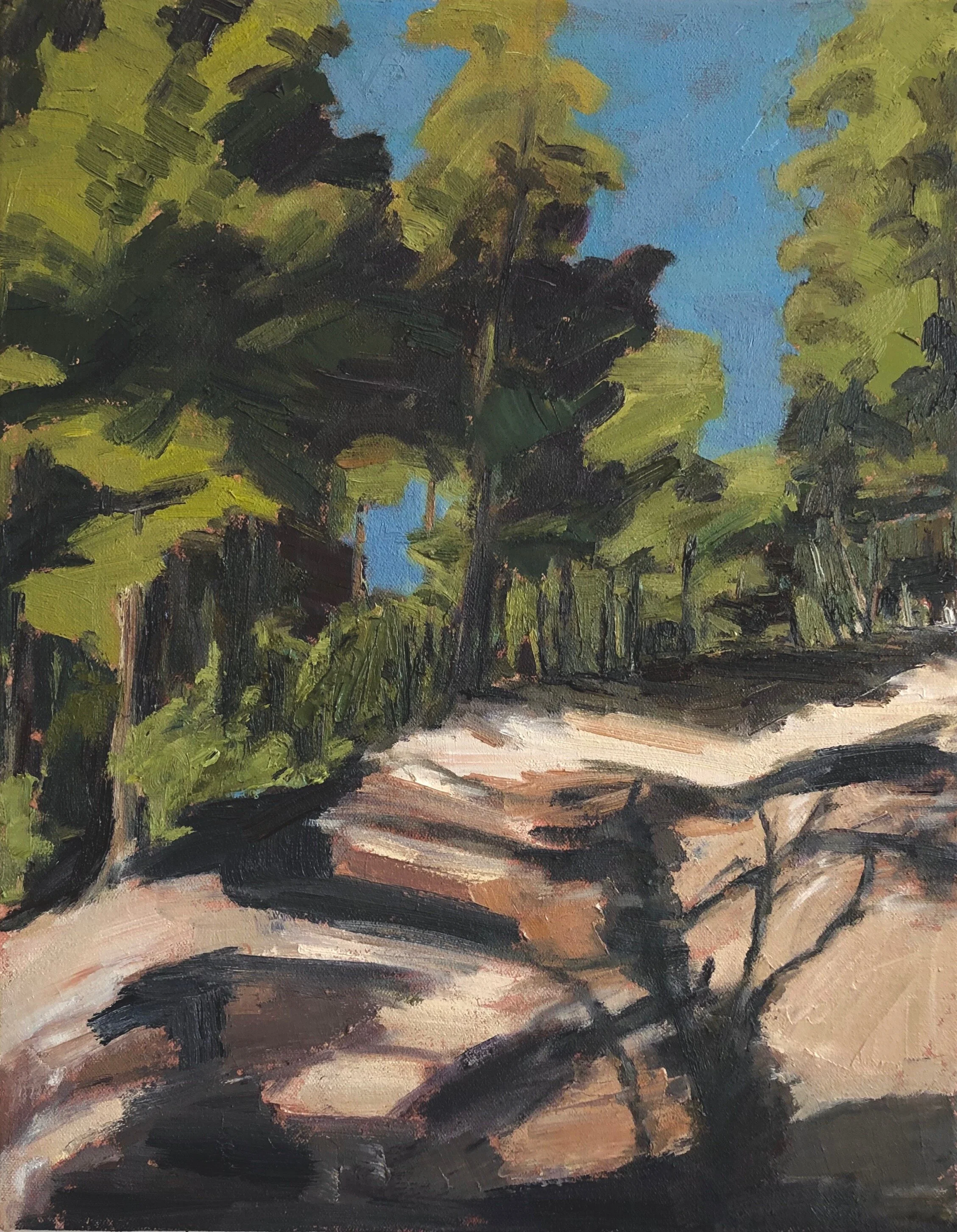  Tall Trees IV  14 x 17 ( framed)  