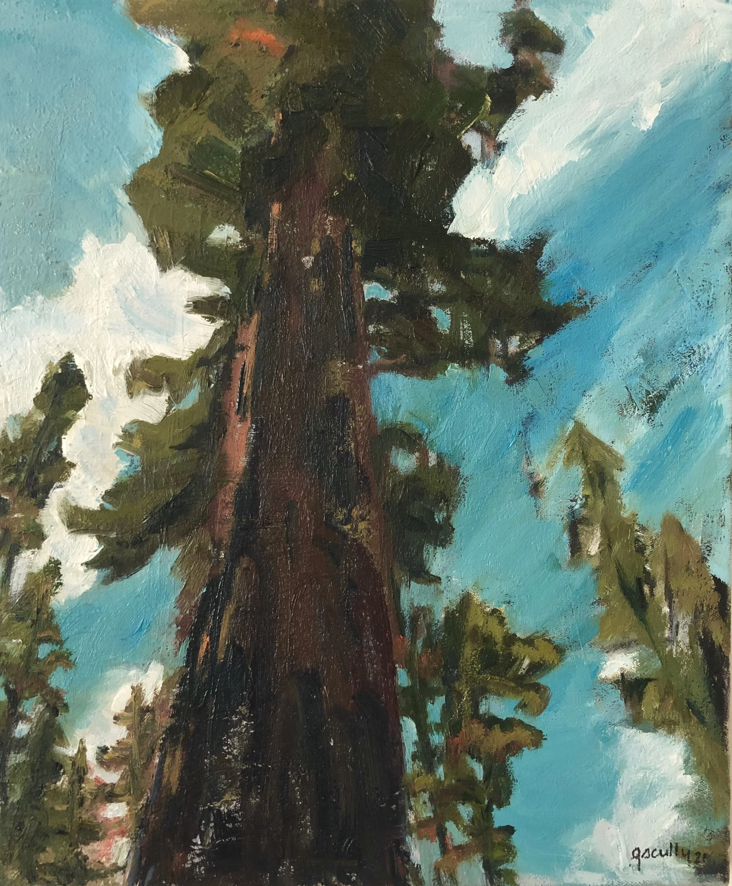  In the Clouds Sequoia 15 x 18  2020 