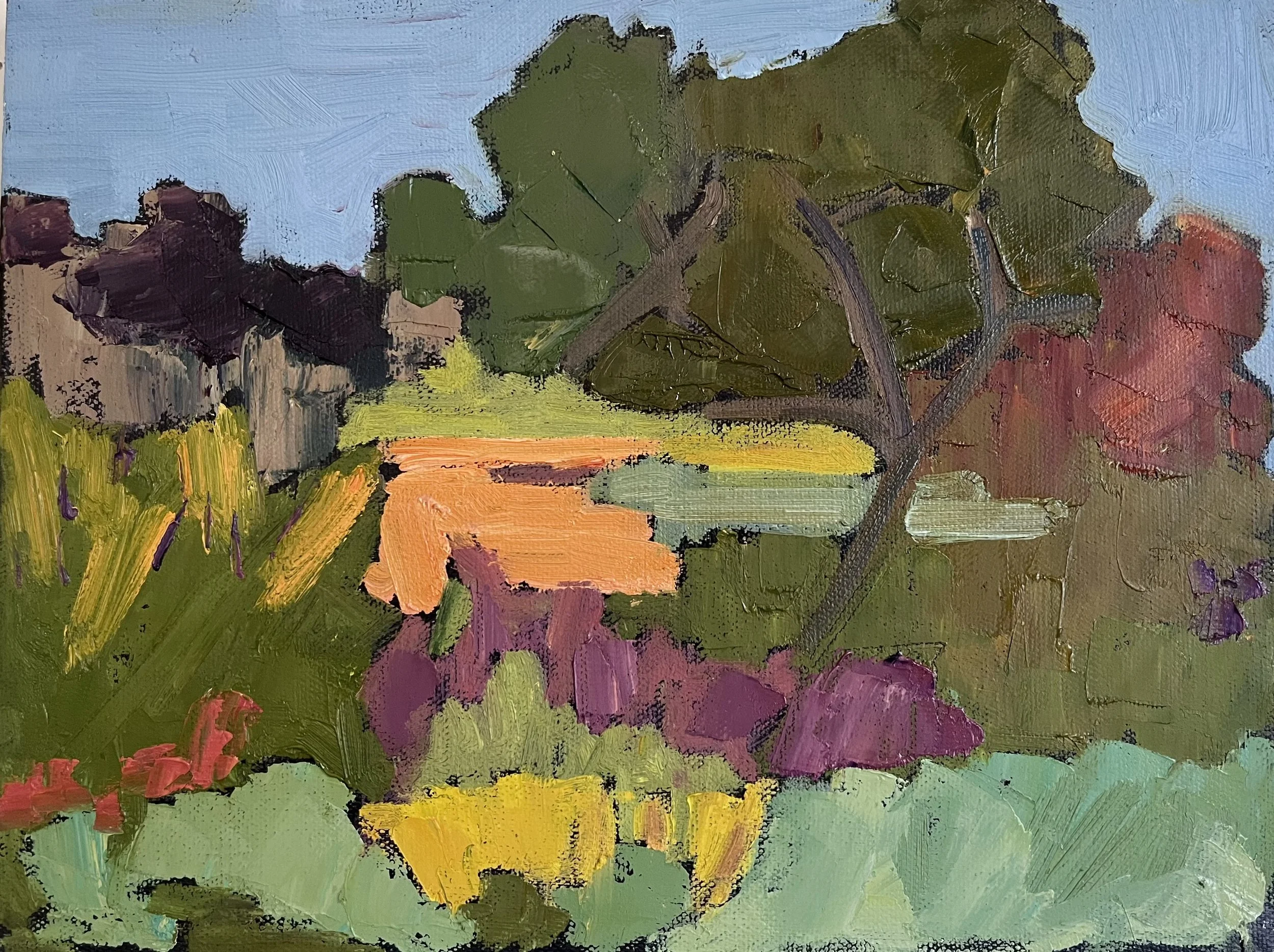  Garden Study (June)  9 x 11  