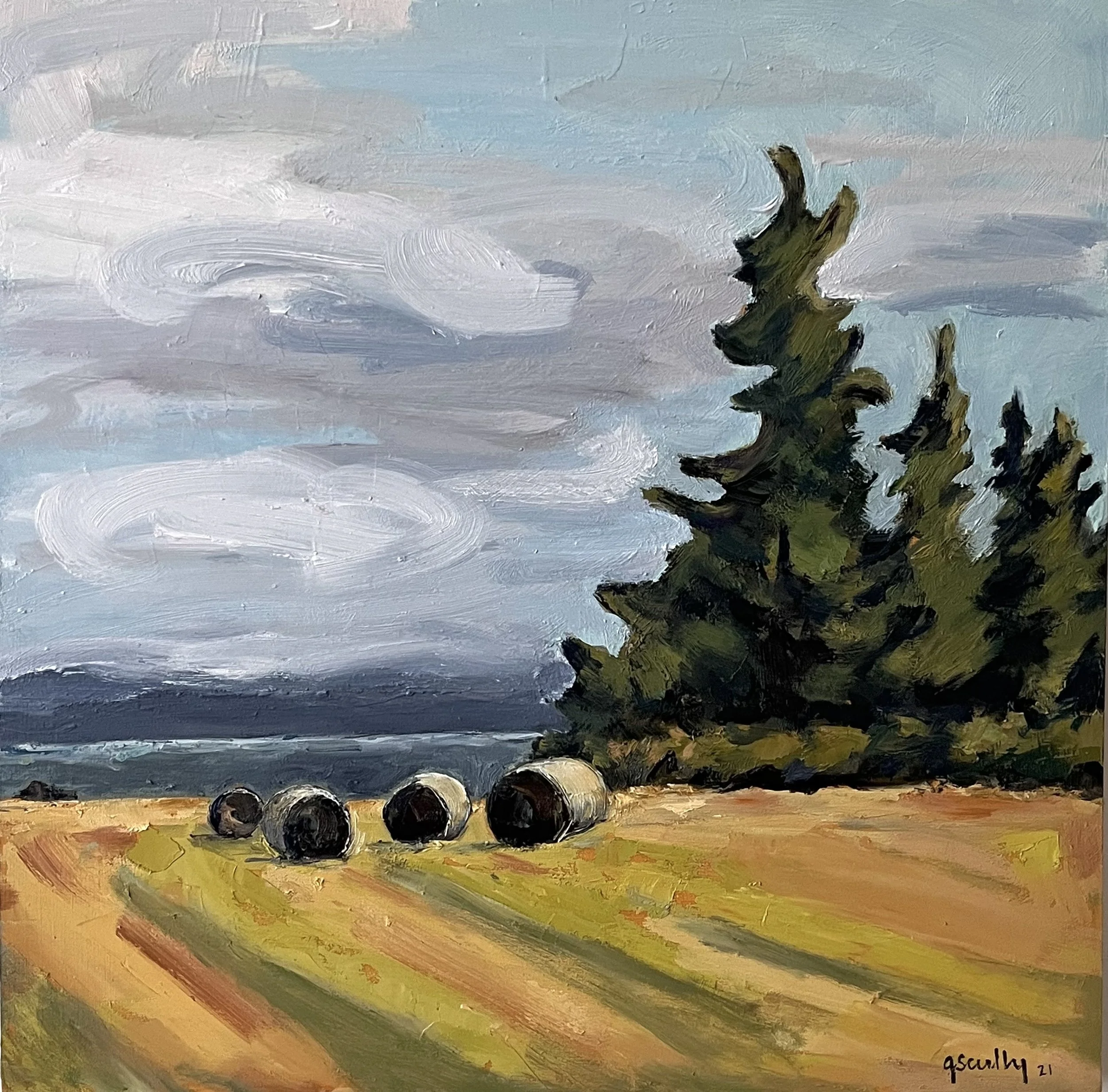  Camano Island Hay Fields 20 x 20  2021 