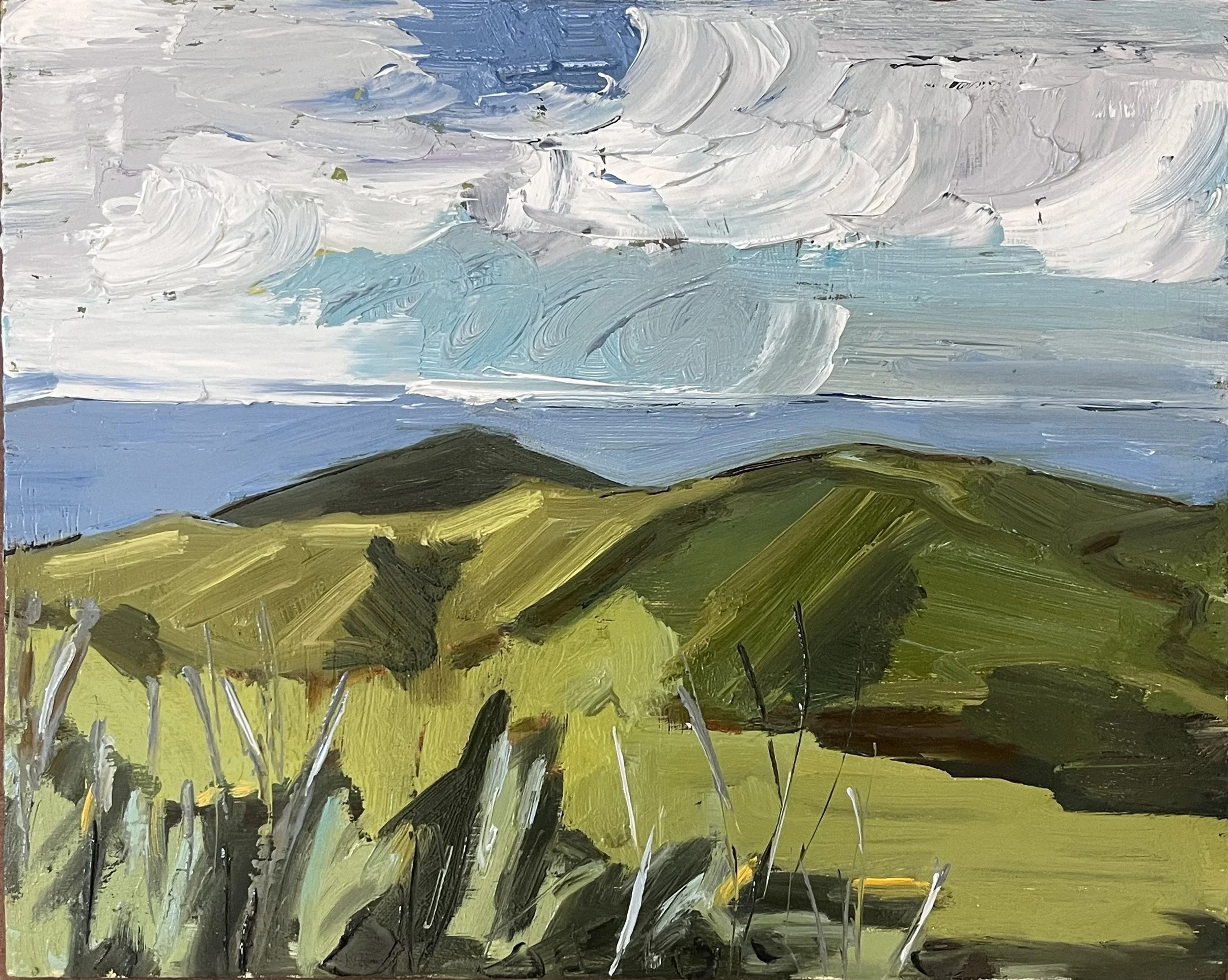  Catalina Island 5  2024 oil on panel 8 x 10 