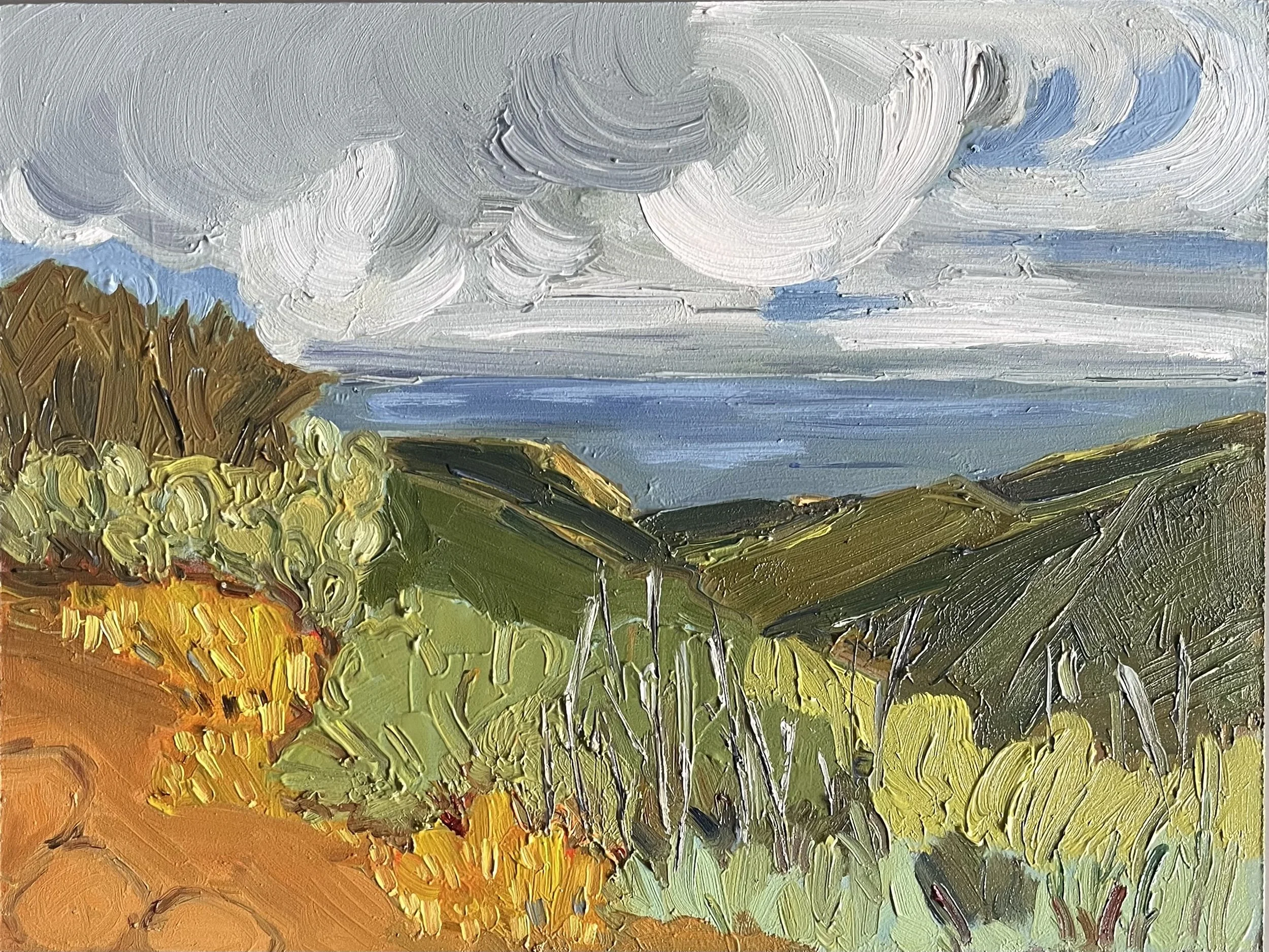  Catalina Island 6 2024 oil on panel 9 x 12 
