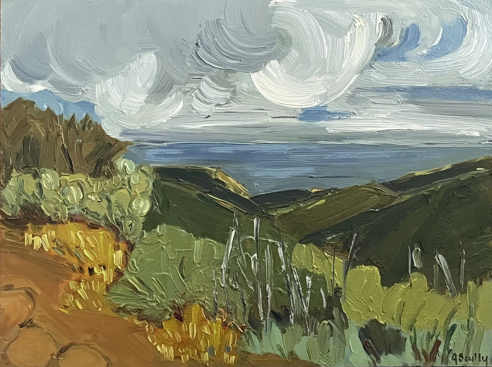  Catalina II  9 × 12  