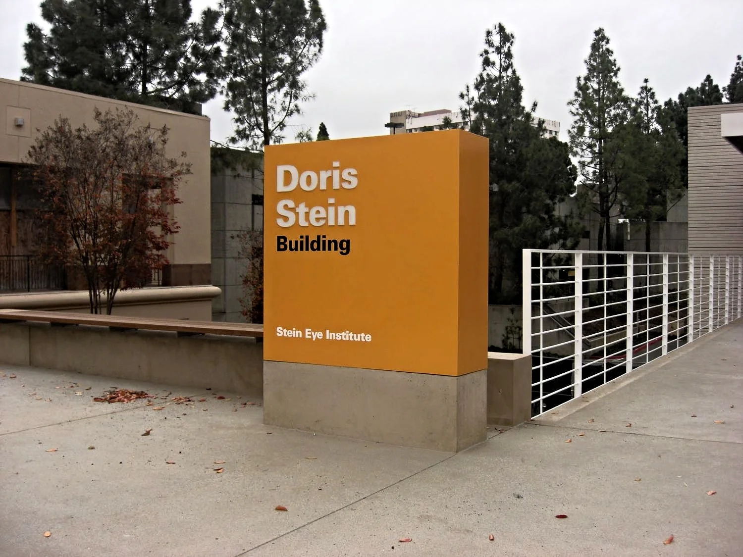 UCLA Edie & Lew Wasserman Stein Eye Institute