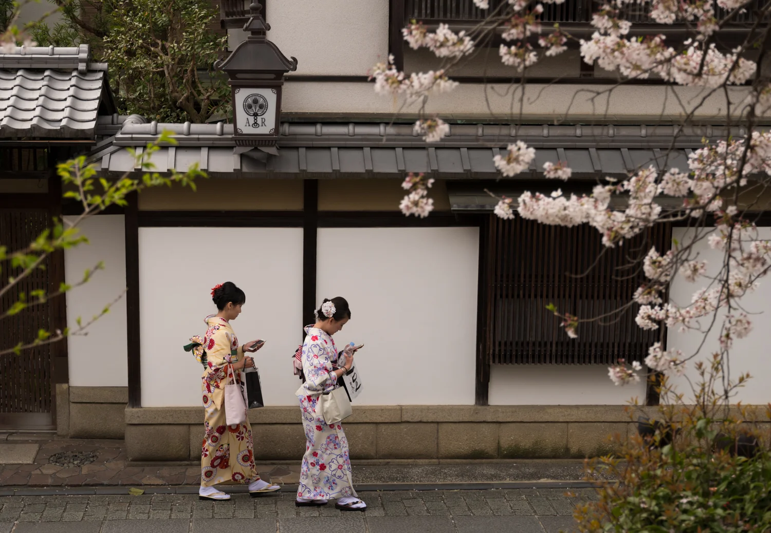 Friends around Gion, Kyoto.