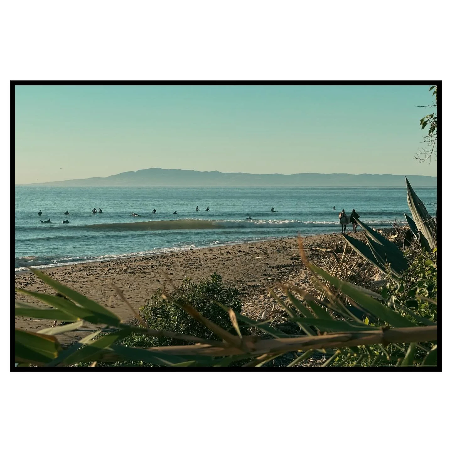 That one day Rincon looked like this. PTSD still kicks in&hellip; dammit!&reg;️🫤