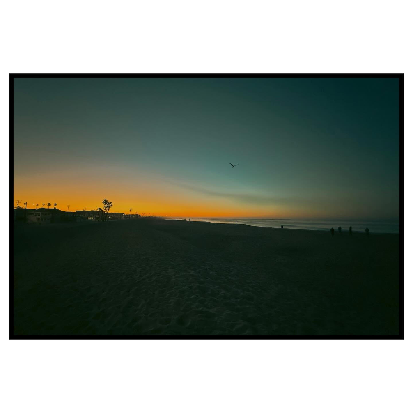 First light swell check&hellip; dammit!&reg;️🌊