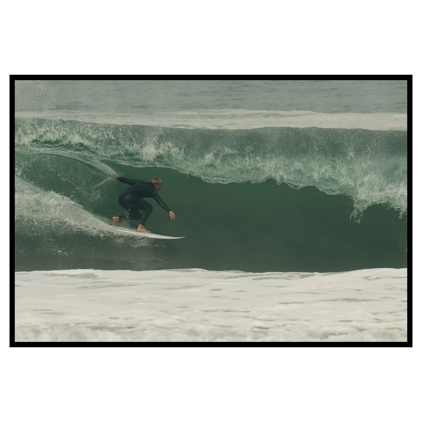 Blazer Roach aka @blaze_roche&hellip; dammit!&reg;️🌊🏄🏼&zwj;♂️💨