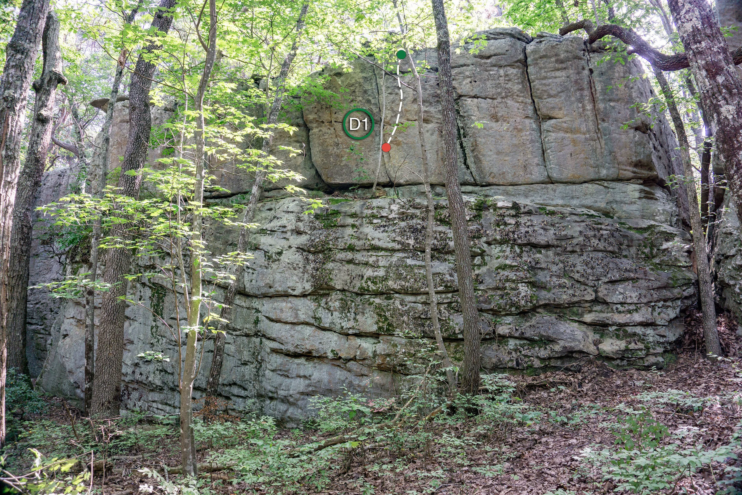 D- Zahnd in August-3.jpg