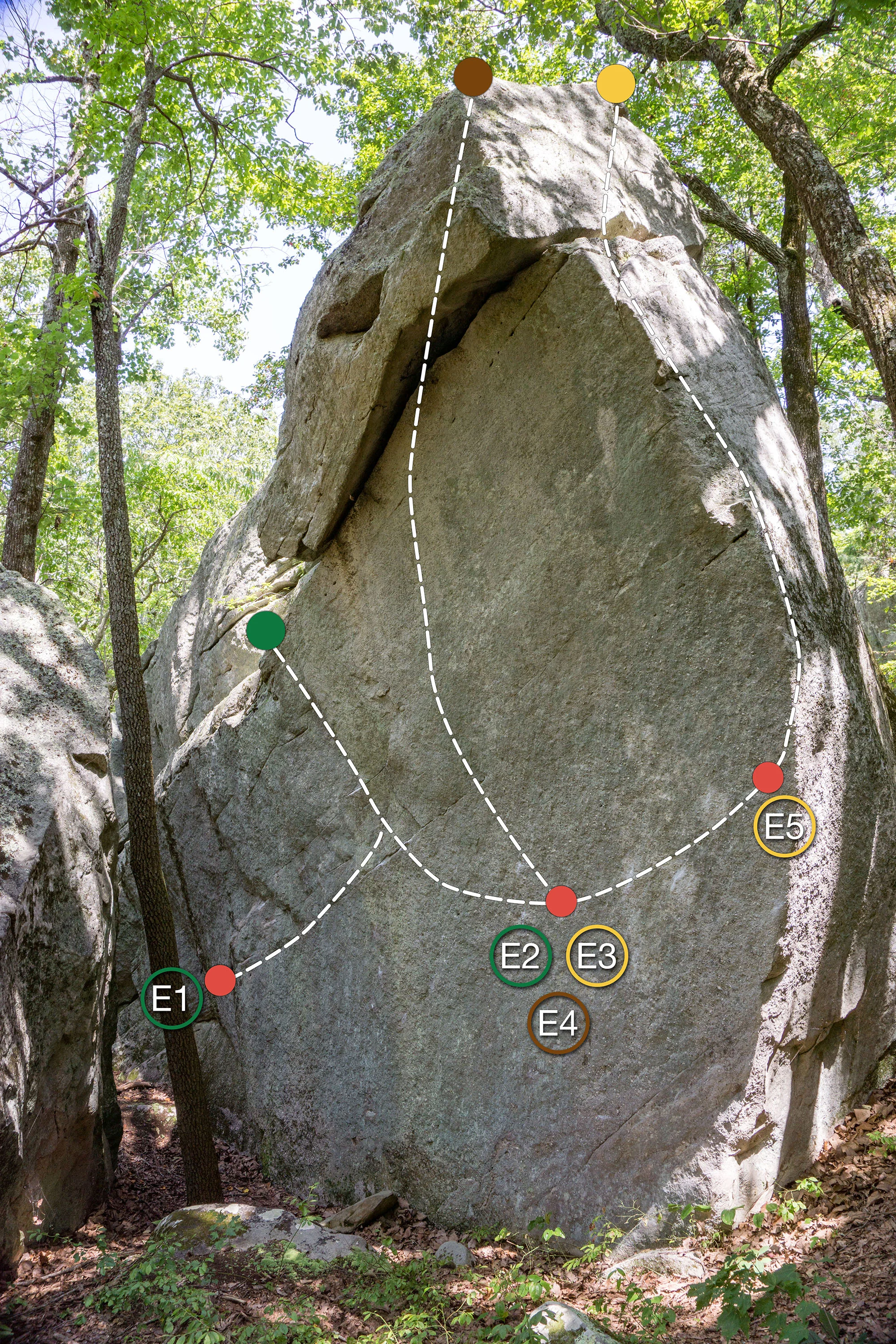 E- Zahnd in August-10.jpg