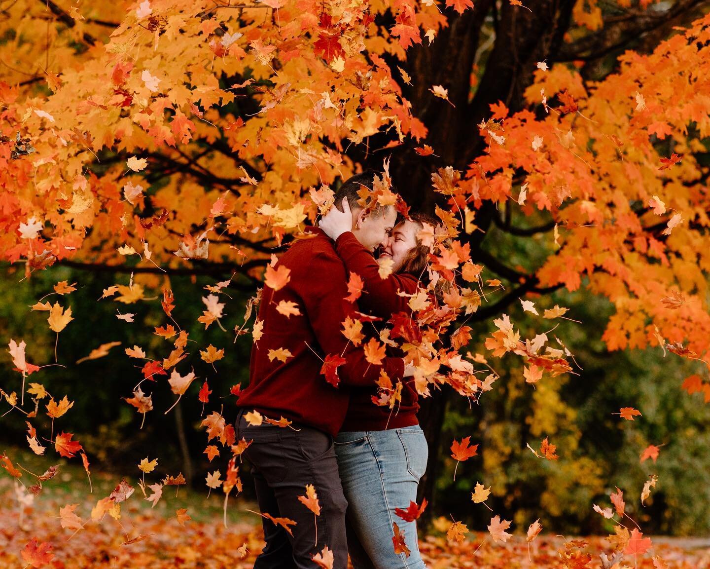 🍁 🍁 🍁 🍁 🍁 🍁
 🍁 🍁 🍁 🍁 🍁 🍁
 🍁🍁 ✨🤍 🍁🍁
🍁 🍁 🍁 🍁 🍁 🍁
 🍁 🍁 🍁 🍁 🍁 🍁
(All that to say, they&rsquo;re unbeleafably cute huh) 
&bull;
&bull;
&bull;
&bull;
#capjoyphoto #capjoy #newhampshirephotographer #nhphotographer #portraitphoto