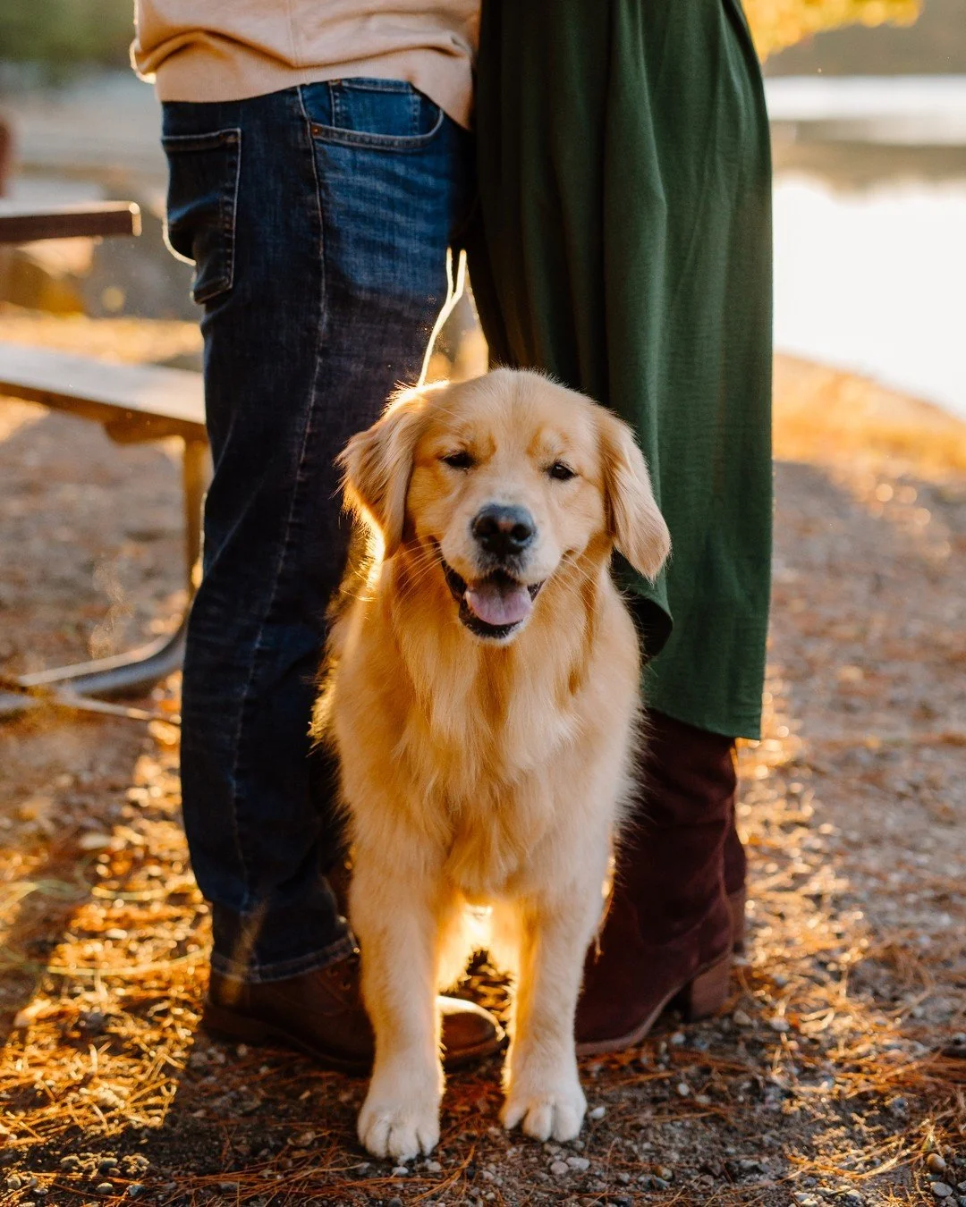 a golden girl at golden hour ☀️💛 it's always more fun when your pup joins us!