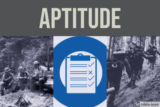 Aptitude.jpg