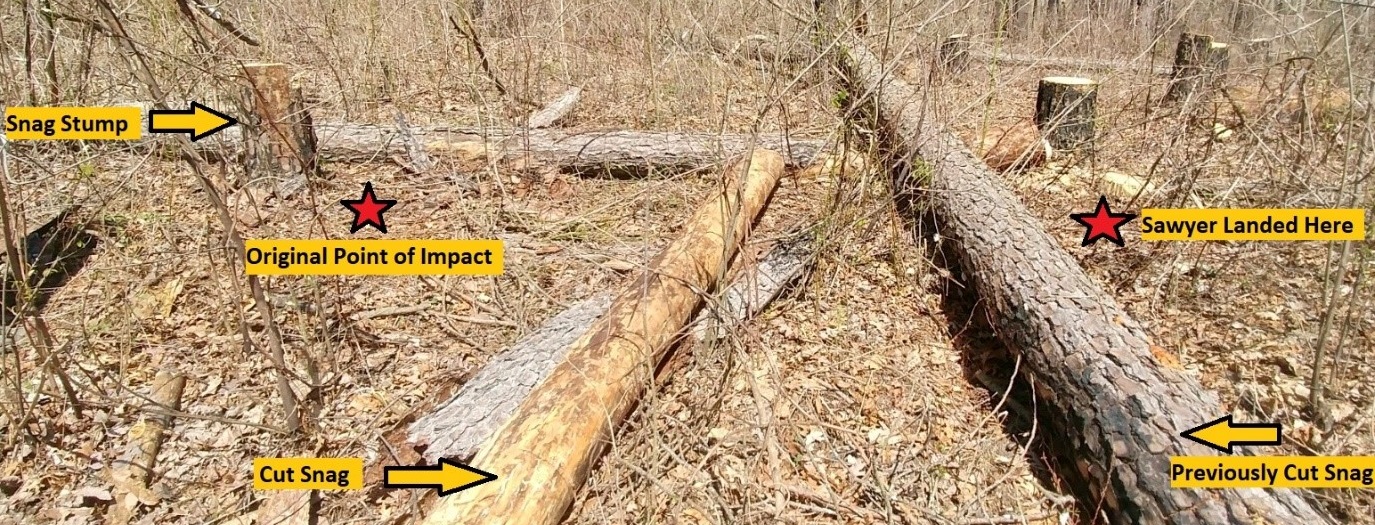 RLS - Tree Felling Incident.jpg