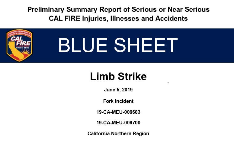 Blue Sheet- Limb Strike.png