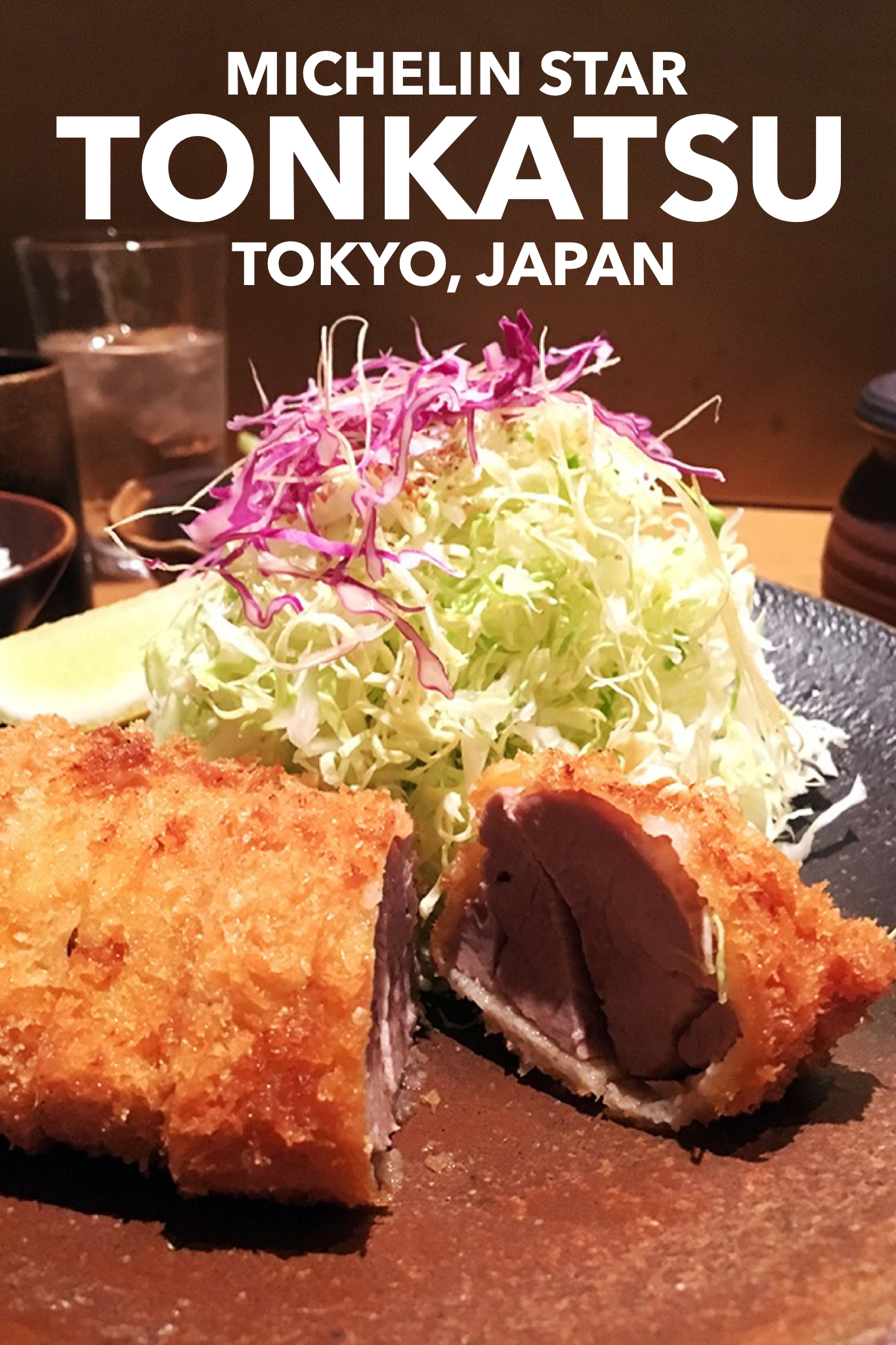 Michelin Star Dining In Tokyo Katsuzen Those Who Wandr