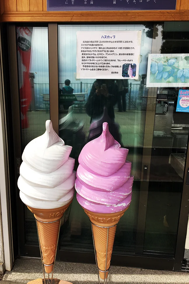Mount Takao Things to Do Honeyberry Ice Cream .jpg