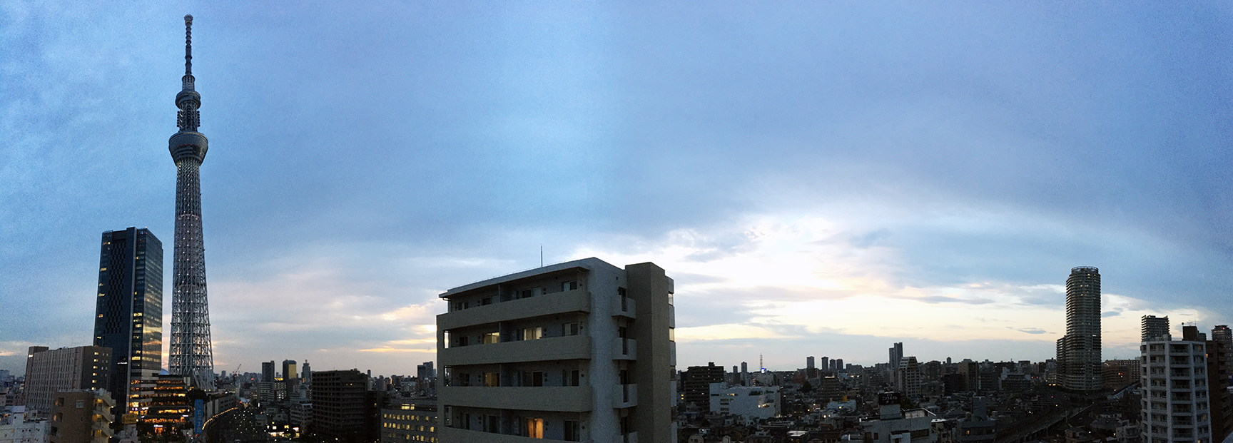 ONE@Tokyo Hotel Rooftop View.jpg