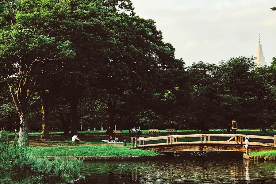 Things to do in Harajuku - Yoyogi Park - Parks in Harajuku.jpg