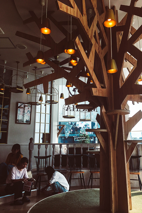 Things to do in Harajuku - Cat Cafe MoCHA - Themed Cafes in Harajuku .jpg
