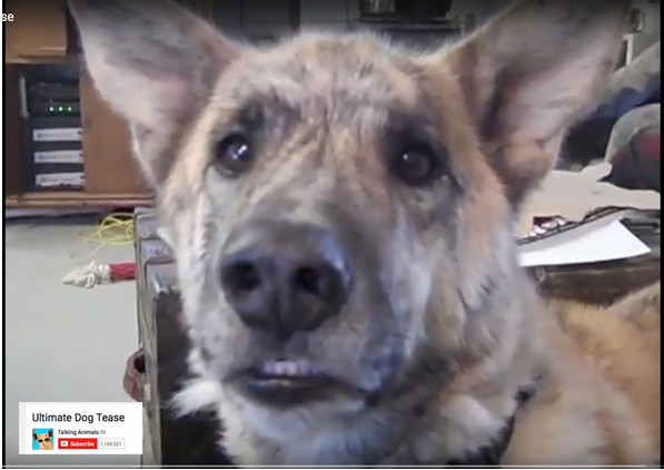 Laughter is an important part of the transformational power of all Sacred Path Men's Retreats