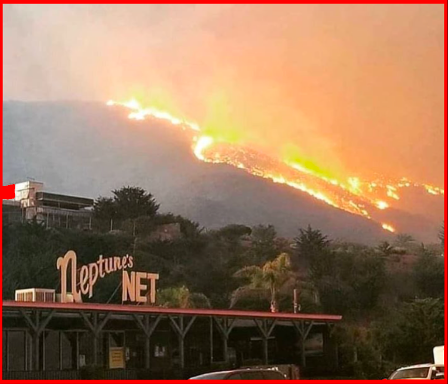 MCLA’s beloved and sacred Gindling Hilltop Camp was totally and completely burned to the ground as the Woolsey fire roared through the hills over Malibu and the Pacific Ocean destroying everything in sight .