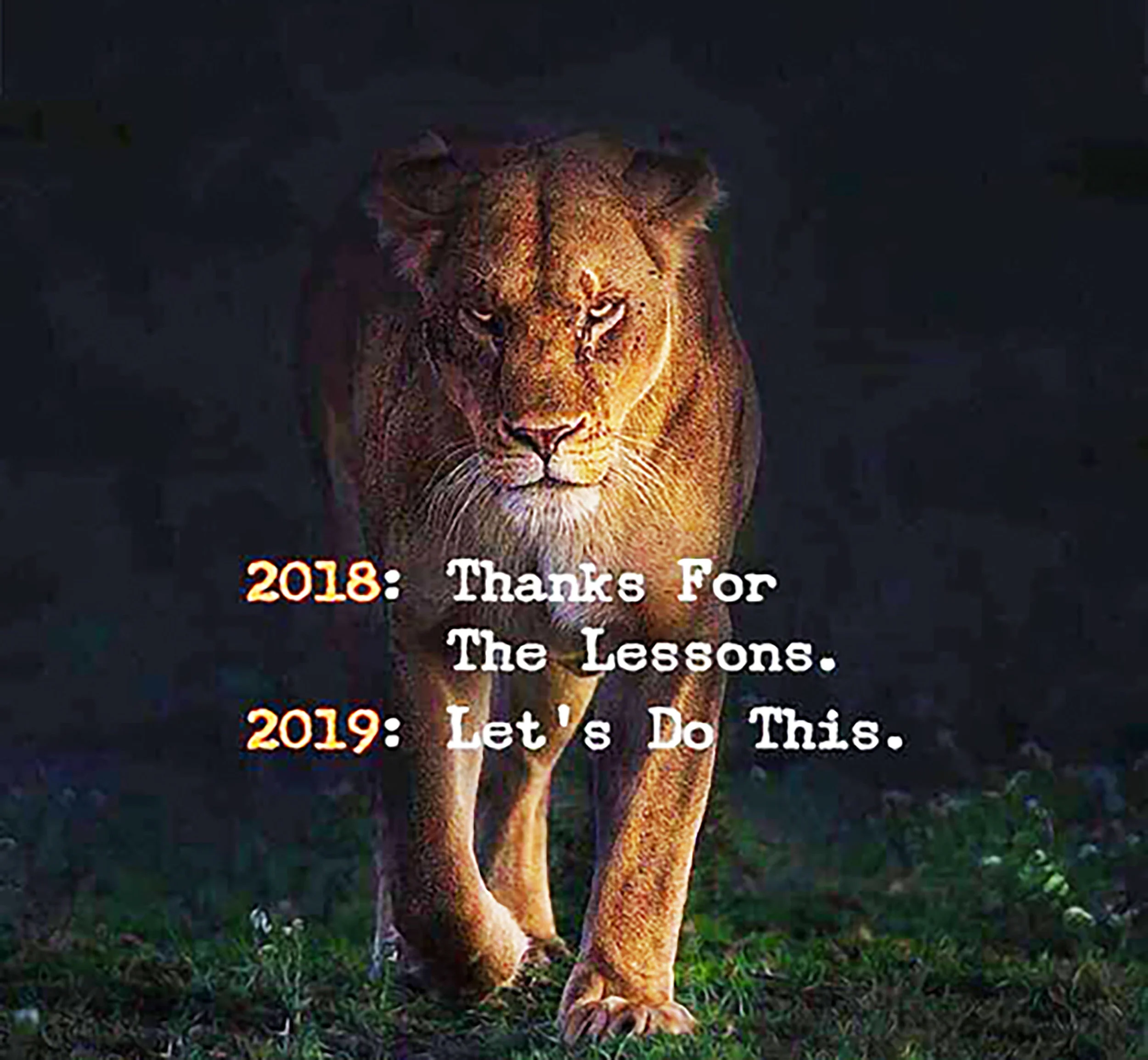 2019.jpg