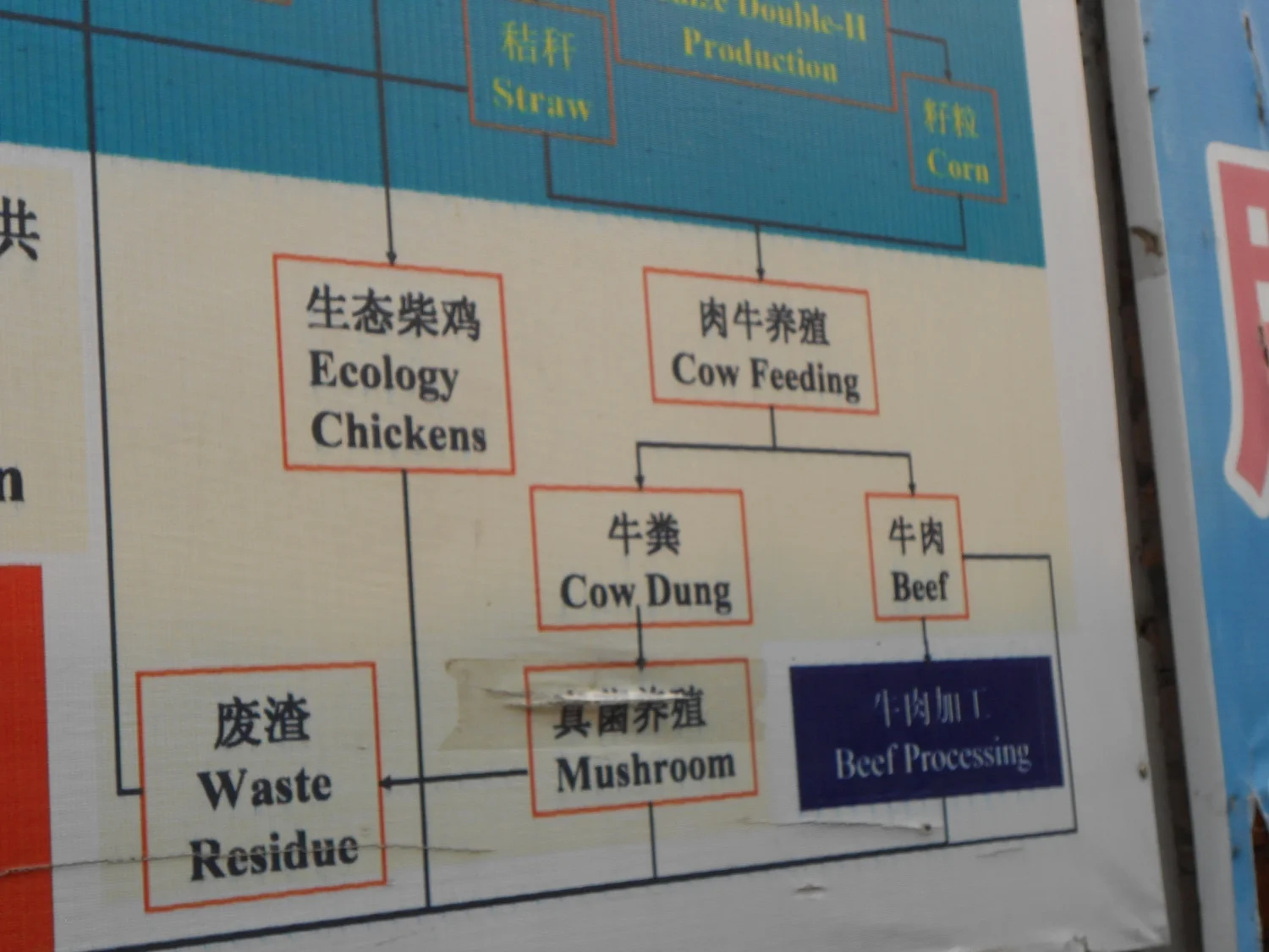 Educational Poster, Science and Technology Backyard Village, Hebei, China