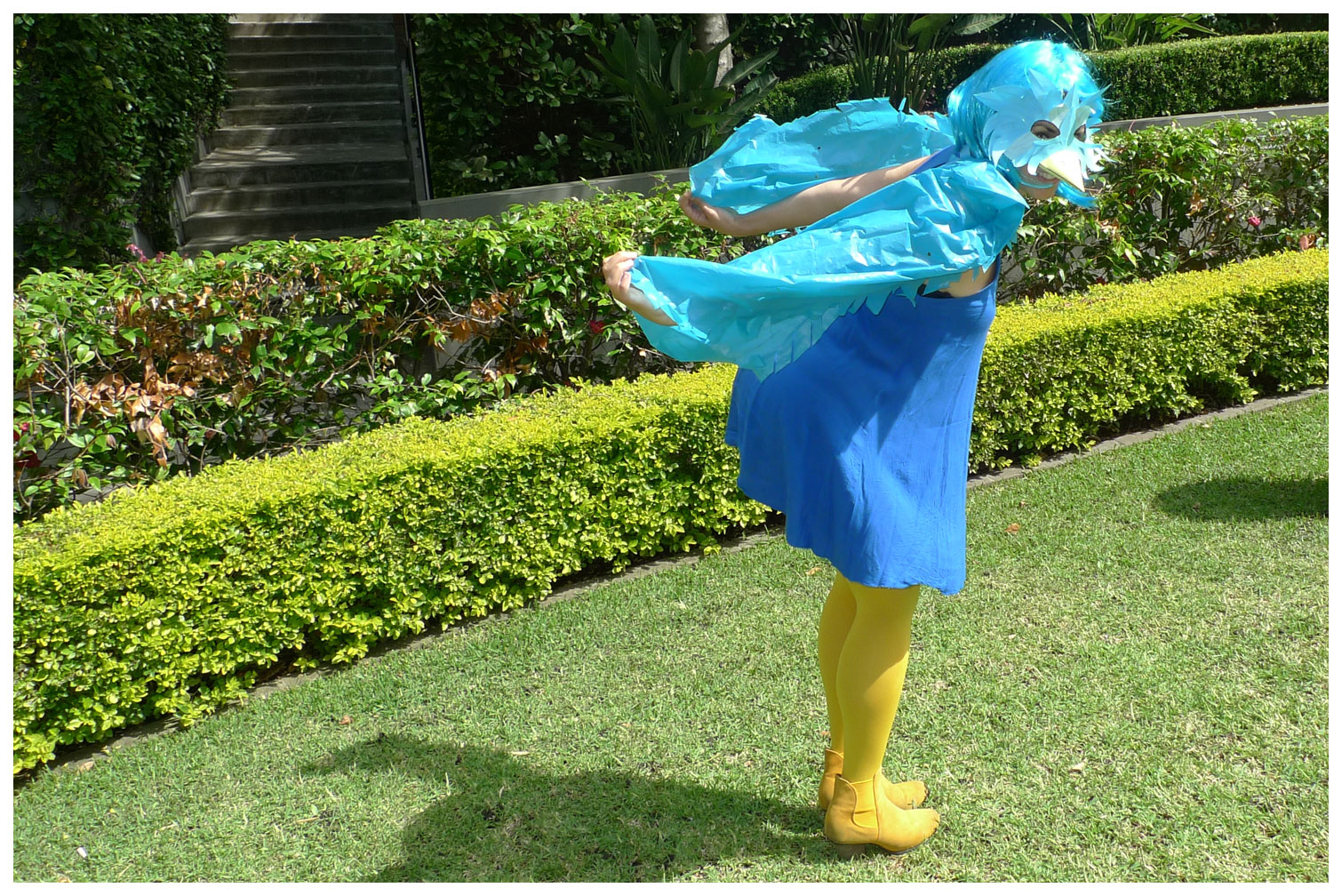 blue-twitter-bird-costume-flight.jpg