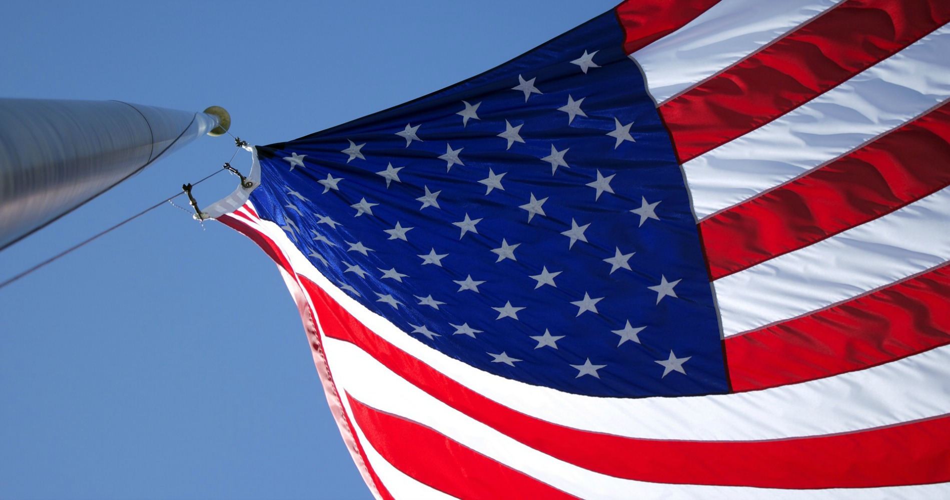 Election 2016 Digital Report Cards