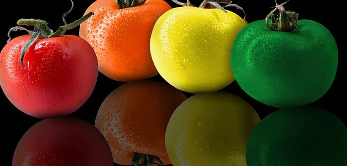 BASIC COLOR THEORY