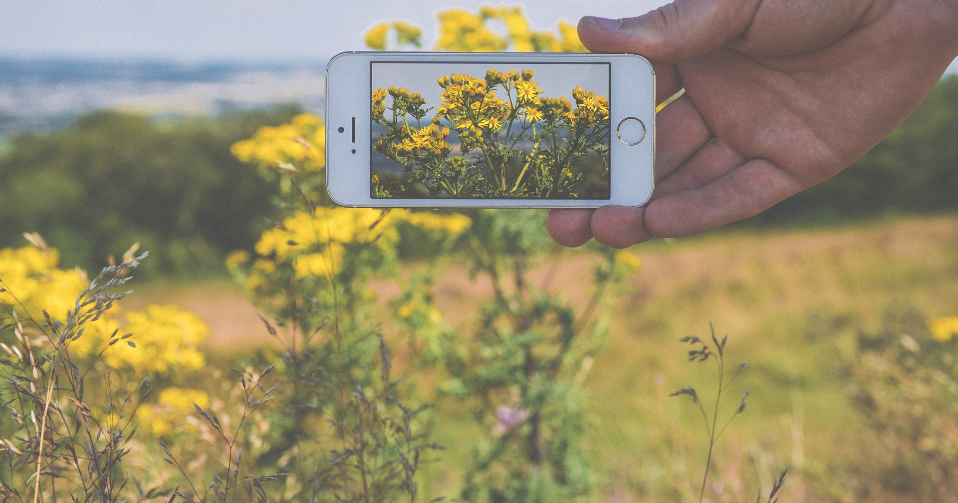 Tell Your Story, With Instagram Stories