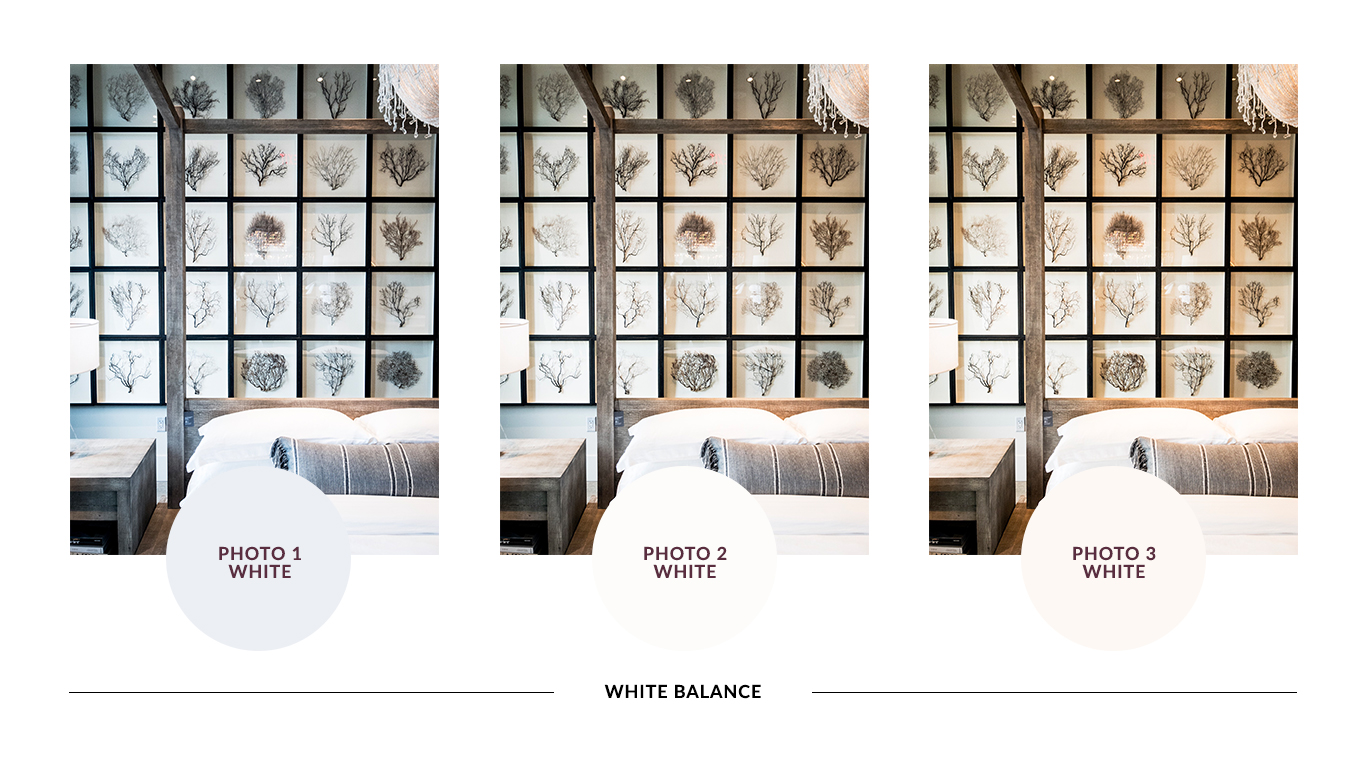 Here is the same photo with different color temperature white balance. The circles below the photo shows what "white" actually is within the photo. You can see that small changes in the temperature can affect the photo's impression while still looking great.