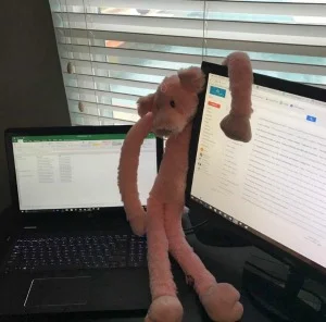 Piglet and Double Monitors II.jpg