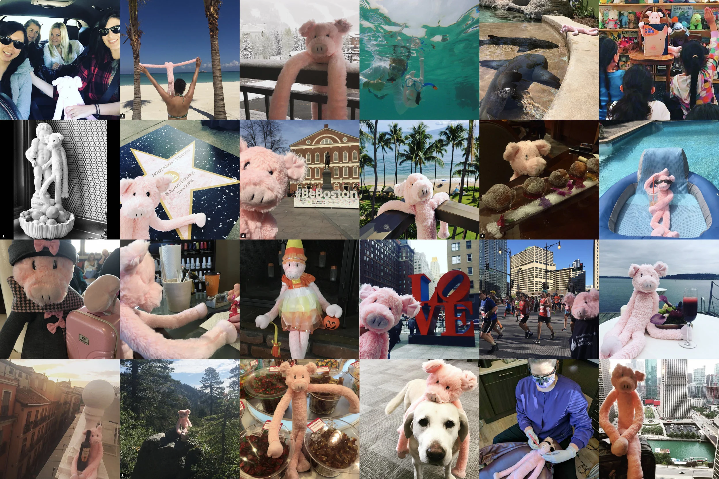 Personal Ad: Thin Pig Seeks Relationship